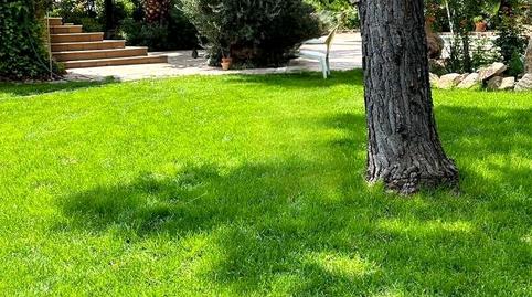 Foto 3 de Casa adosada en venda a Milano, San Roque - La Cruz - La Rozuela, Jaén