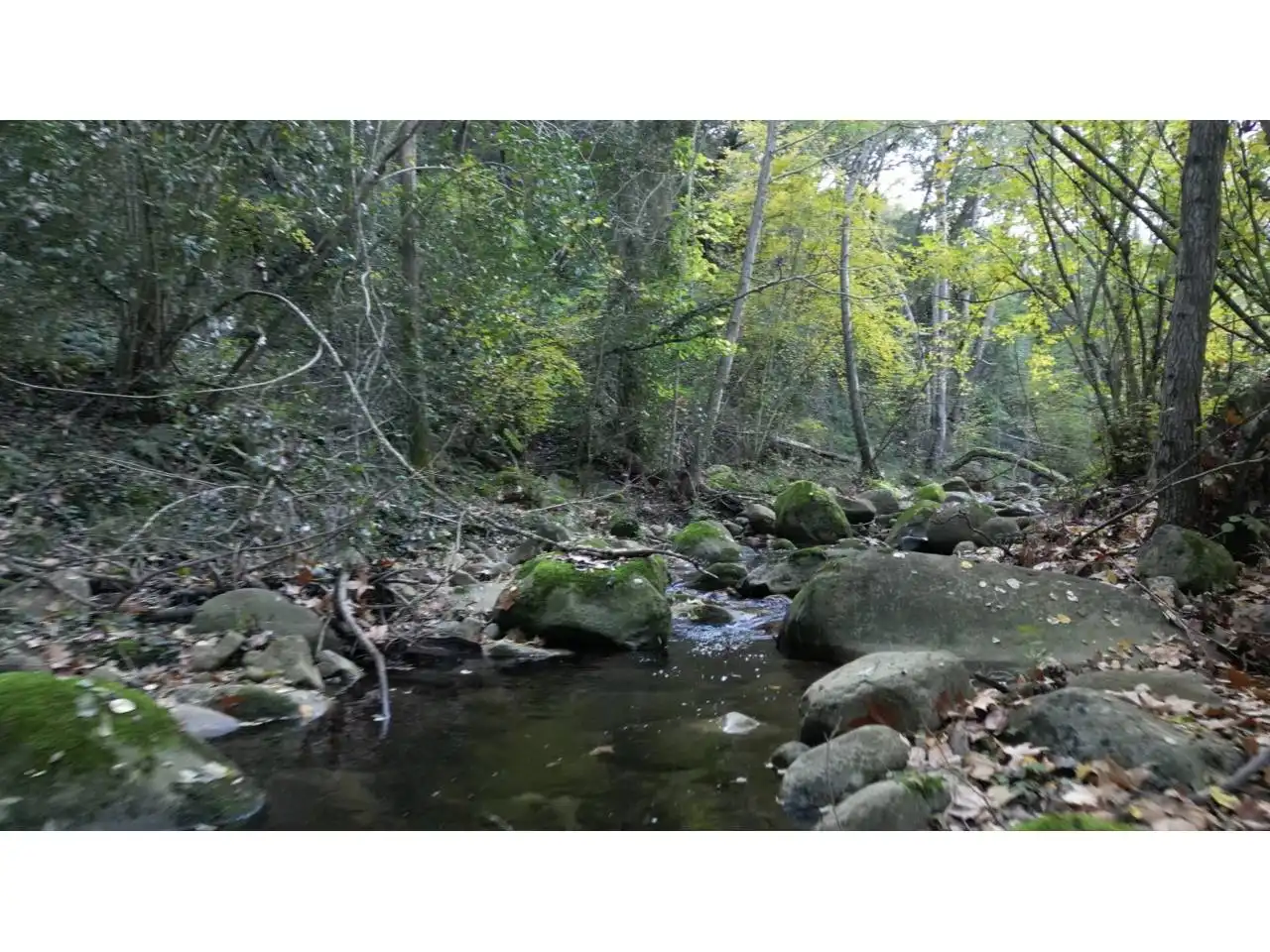 Terreno en venta en Calle GIV-521, 3, Riells i Viabrea