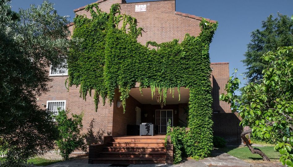 Estudio de alquiler en Raya del Palancar - Guadamonte - Imagen 2