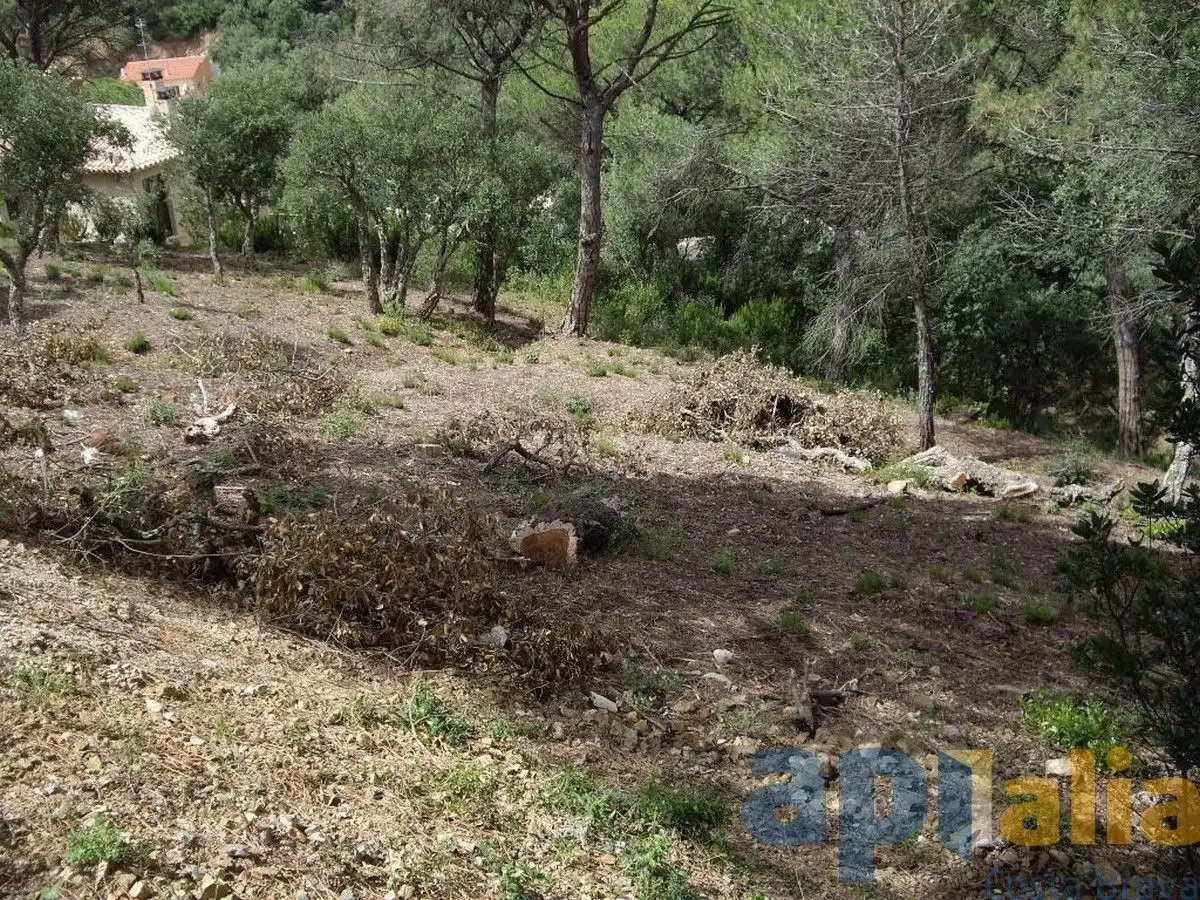 Residential land for sale in Carrer Alzina, imagen 7