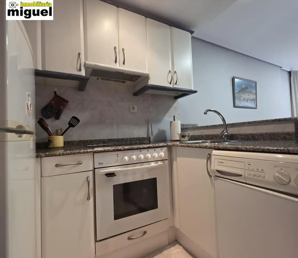 Cocina de Apartamento en venta en Val de San Vicente  con Amueblado