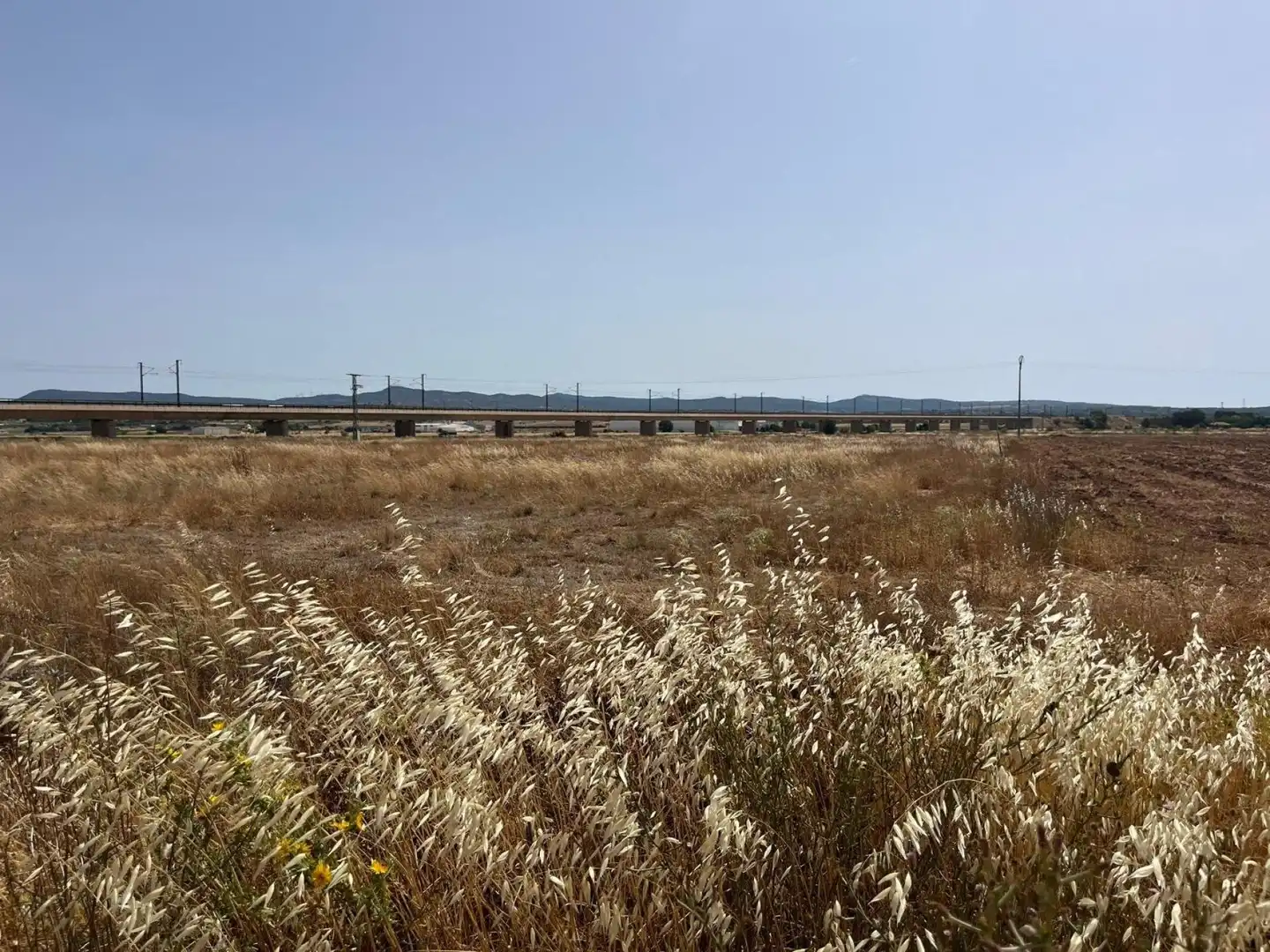 Grundstücke und Bauplätze zum Verkauf in Almansa, imagen 4