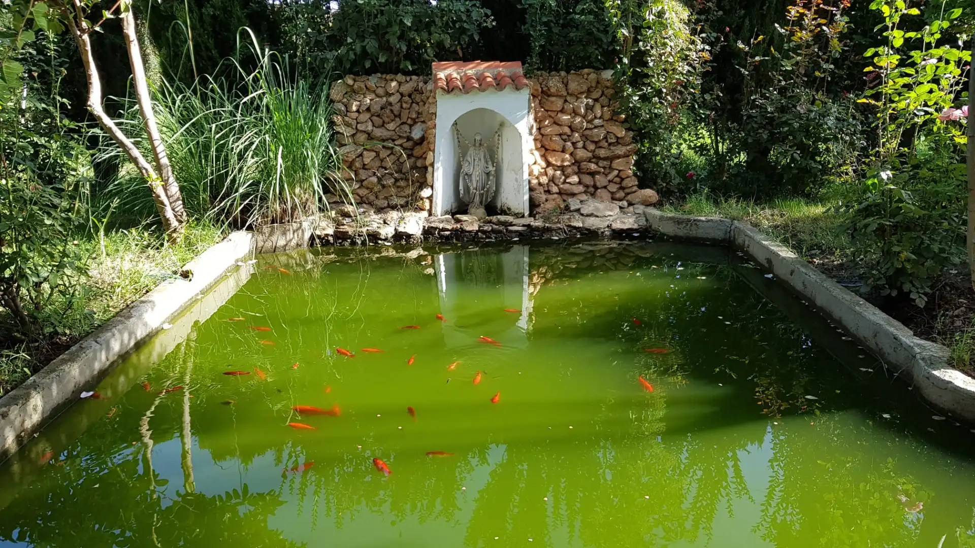 Chalet con piscina en venta en Calle el Jurel 1, imagen 27