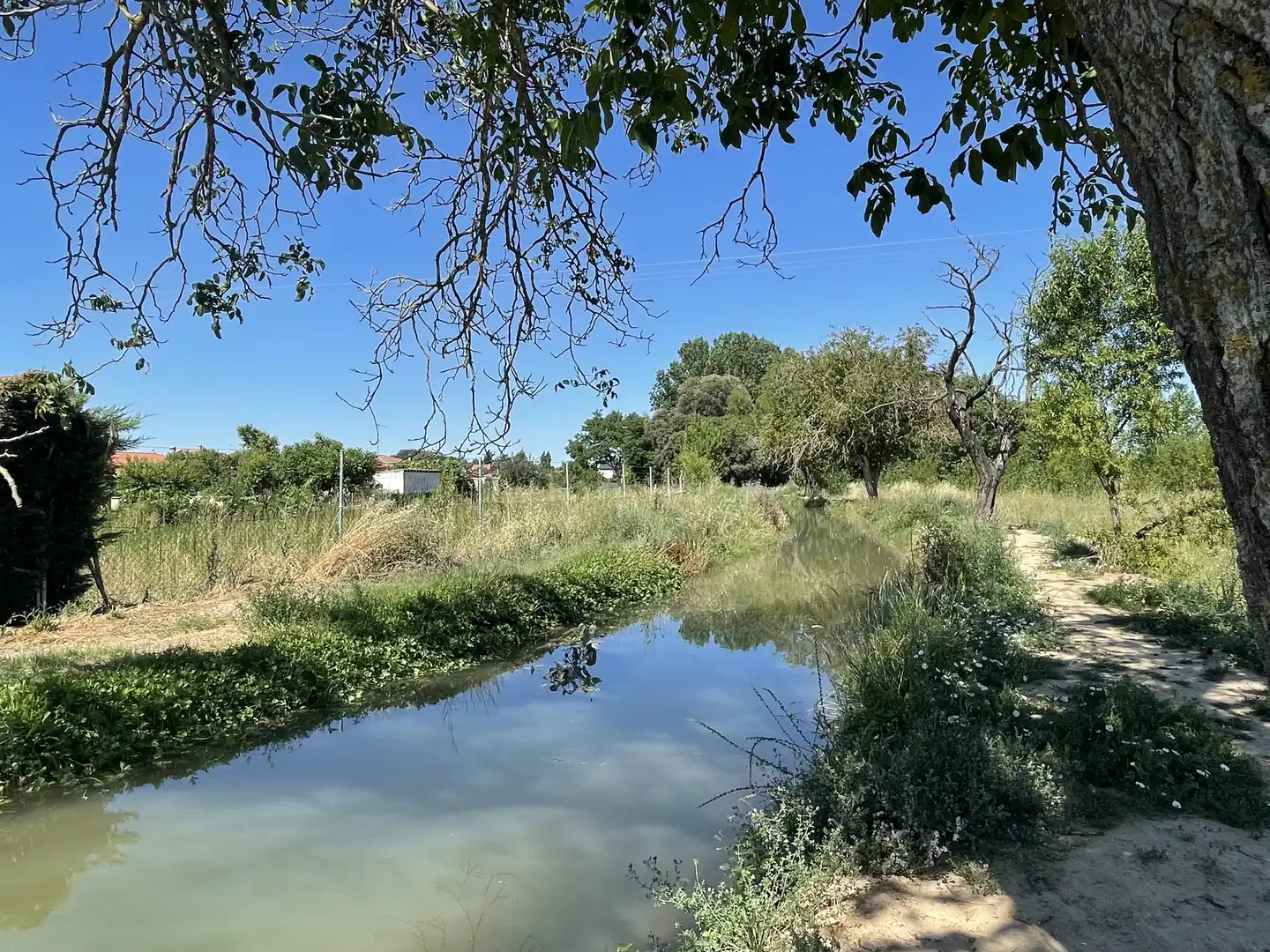 Residential zum Verkauf in Camino Valdelga, Tudela de Duero