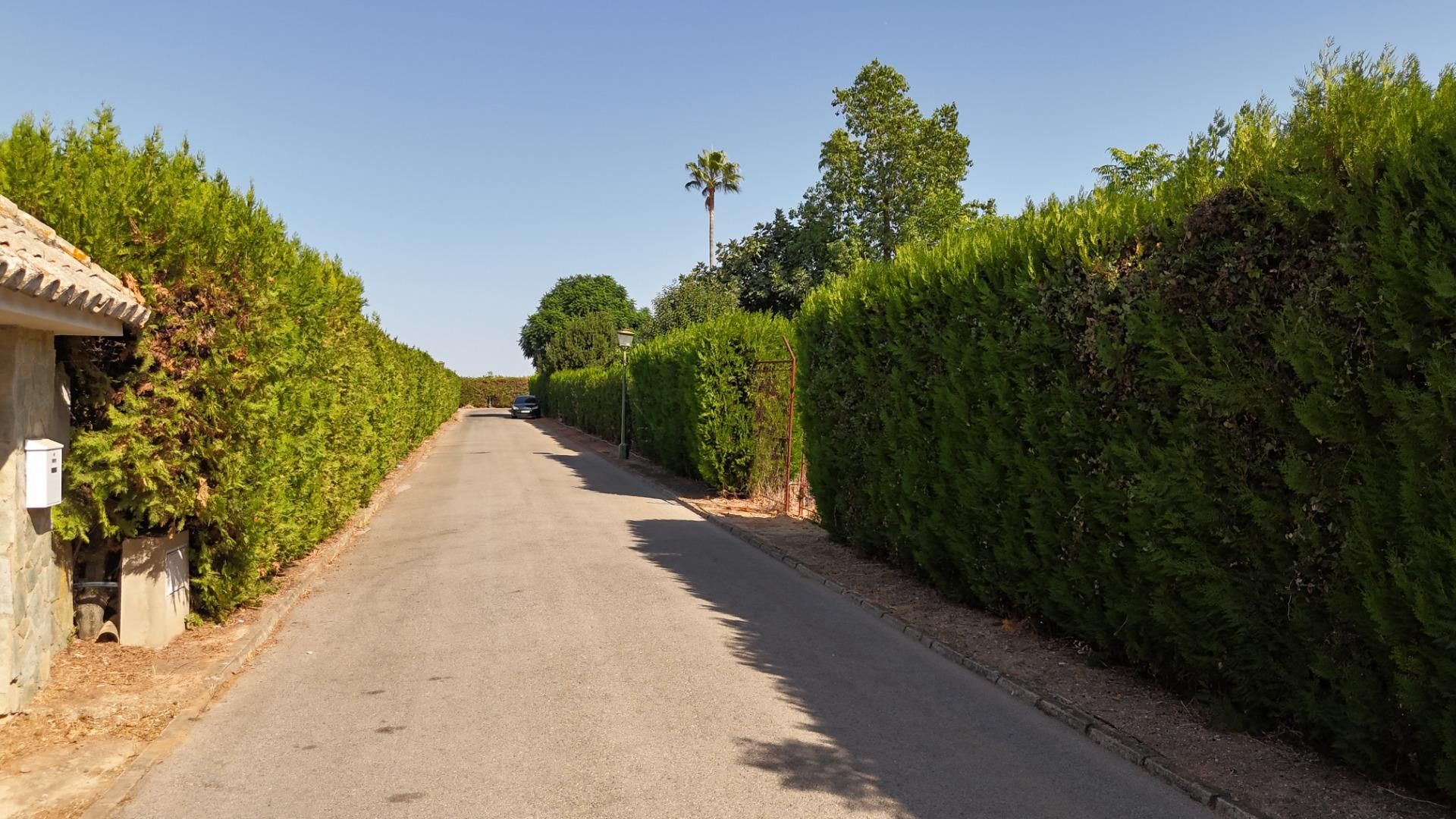 Exterior view of Residential for sale in Espartinas