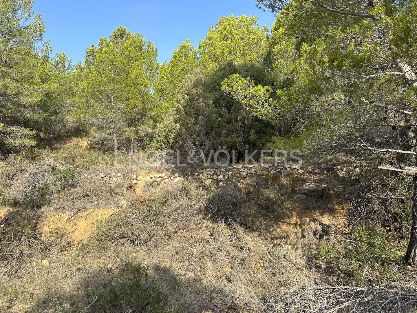 Residential land for sale in Torrelles de Foix, imagen 6