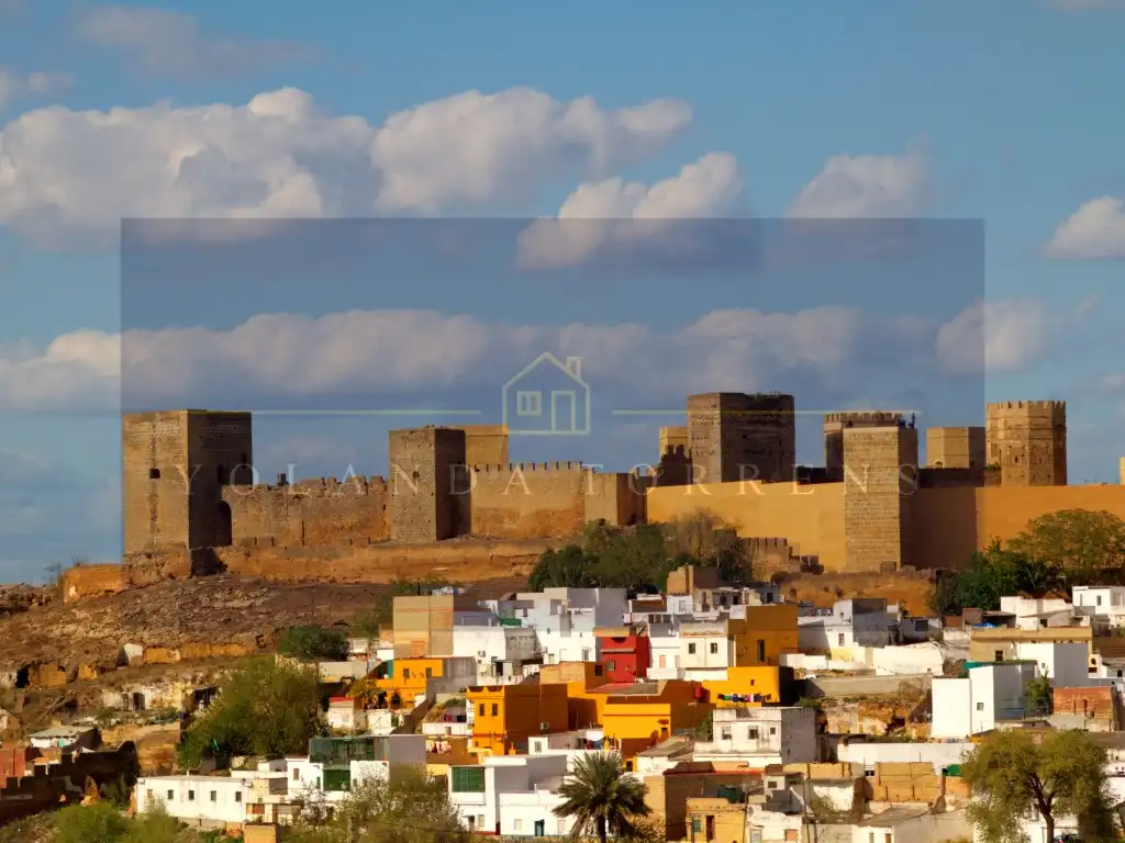 Local comercial en venta en Centro, imagen 4