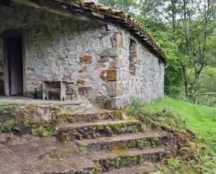 Vista exterior de Finca rústica en venda en Piloña