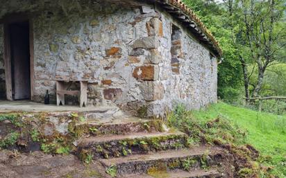 Vista exterior de Finca rústica en venda en Piloña