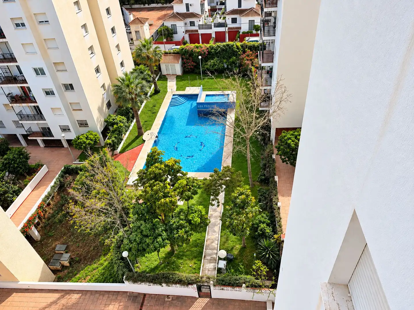 Swimming pool of Apartments for sale in Solymar