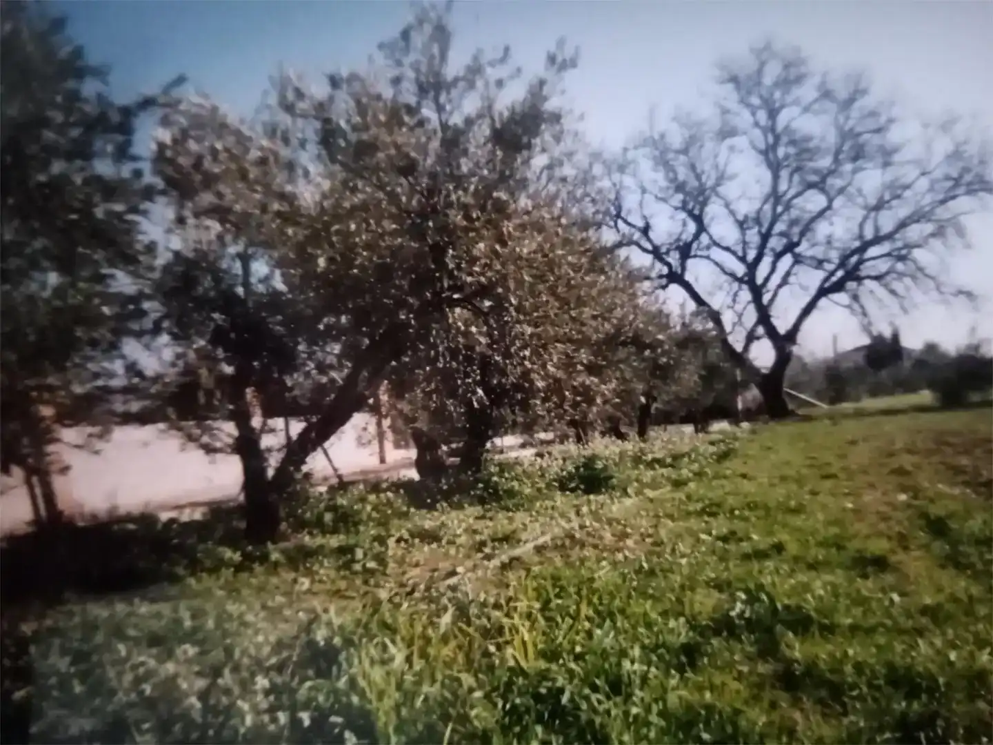 Pis en venda en Baza amb Jardí privat i Traster