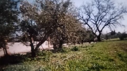 Foto 2 de Pis en venda a Carretera de Murcia, 100, Baza, Granada
