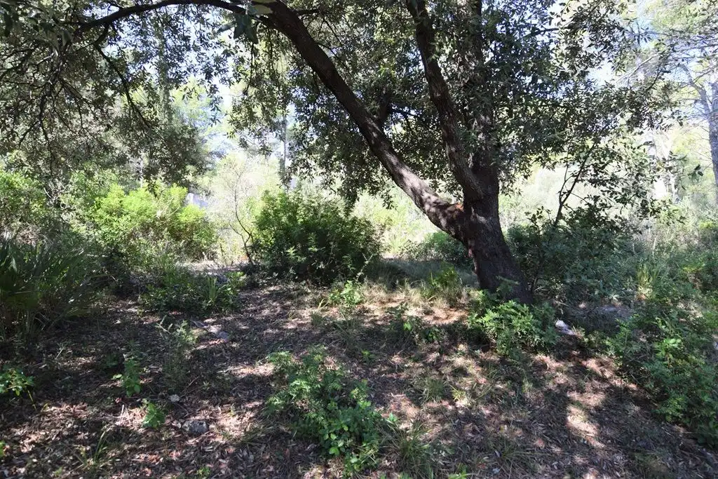 Residential land for sale in Betlem, imagen 2
