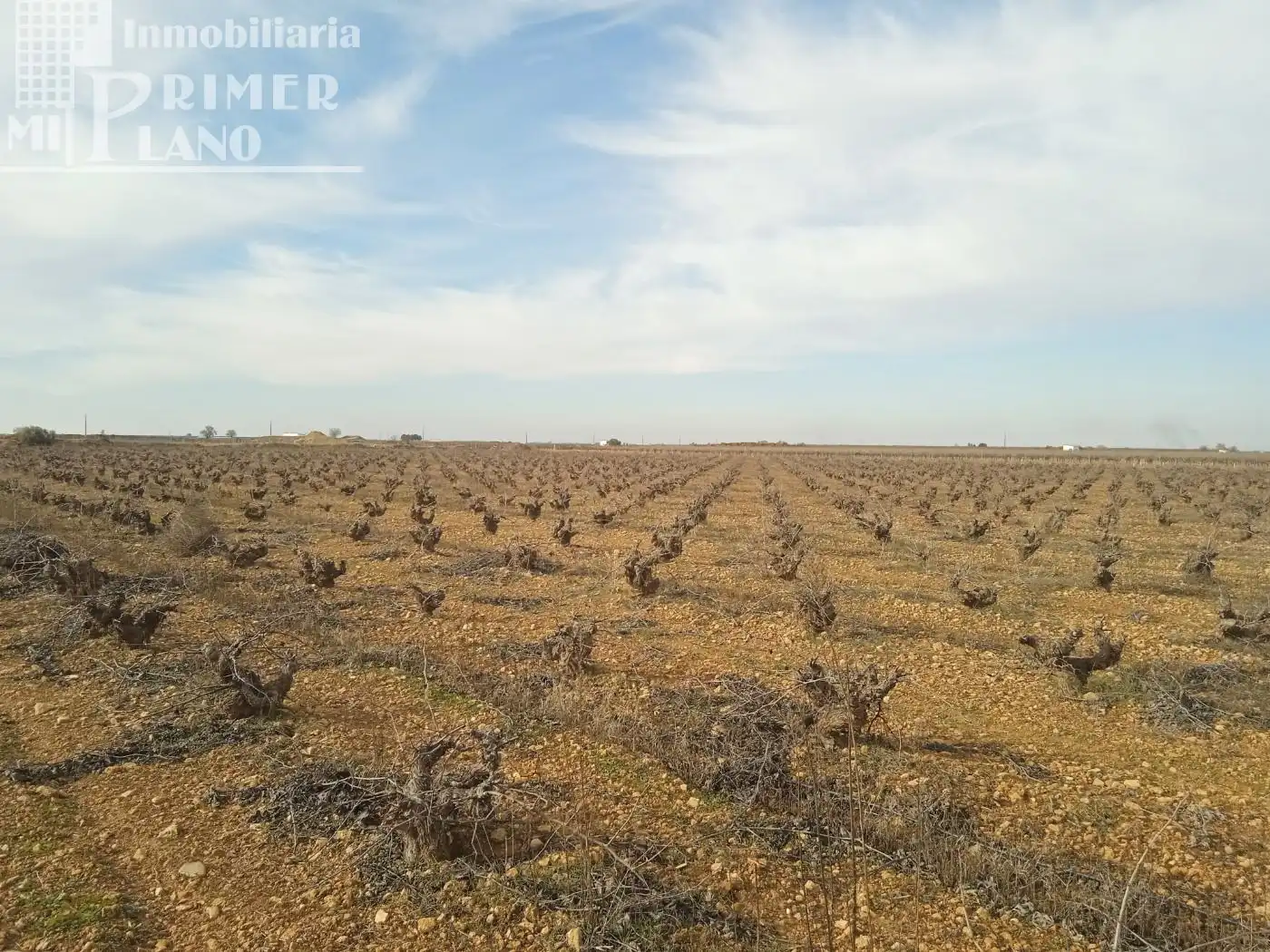 Terrenos y solares en venta en Socuéllamos, imagen 4
