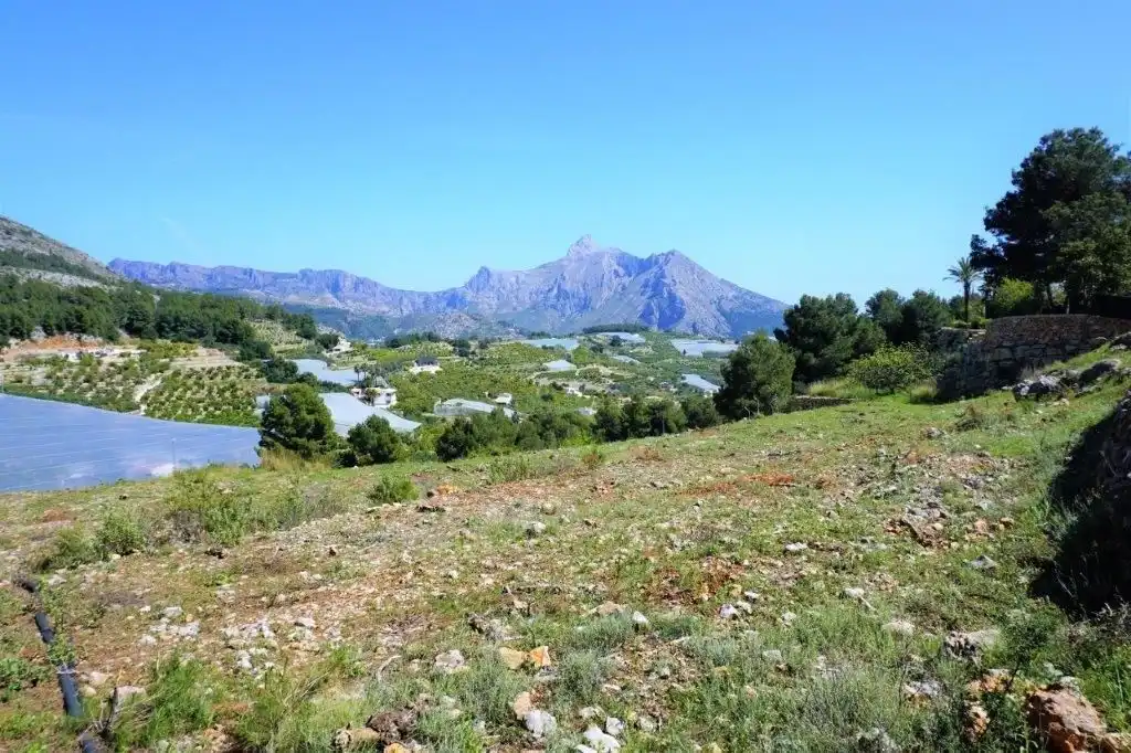 Terreny residencial en venda a Callosa d'en Sarrià, imagen 30