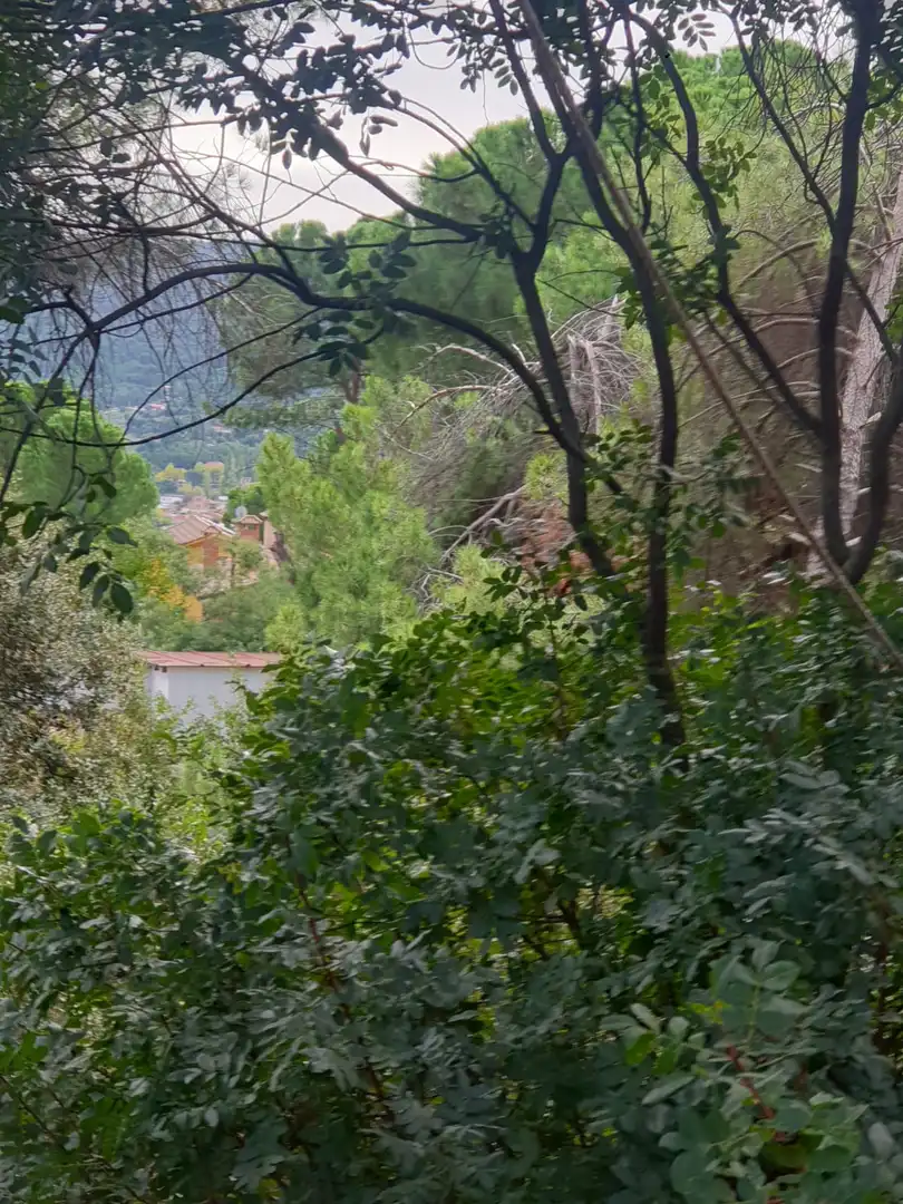 Residencial en venta en Pelayos de la Presa, Madrid