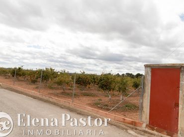 Terreno rustico in vendita a Los Pinares - La Masia