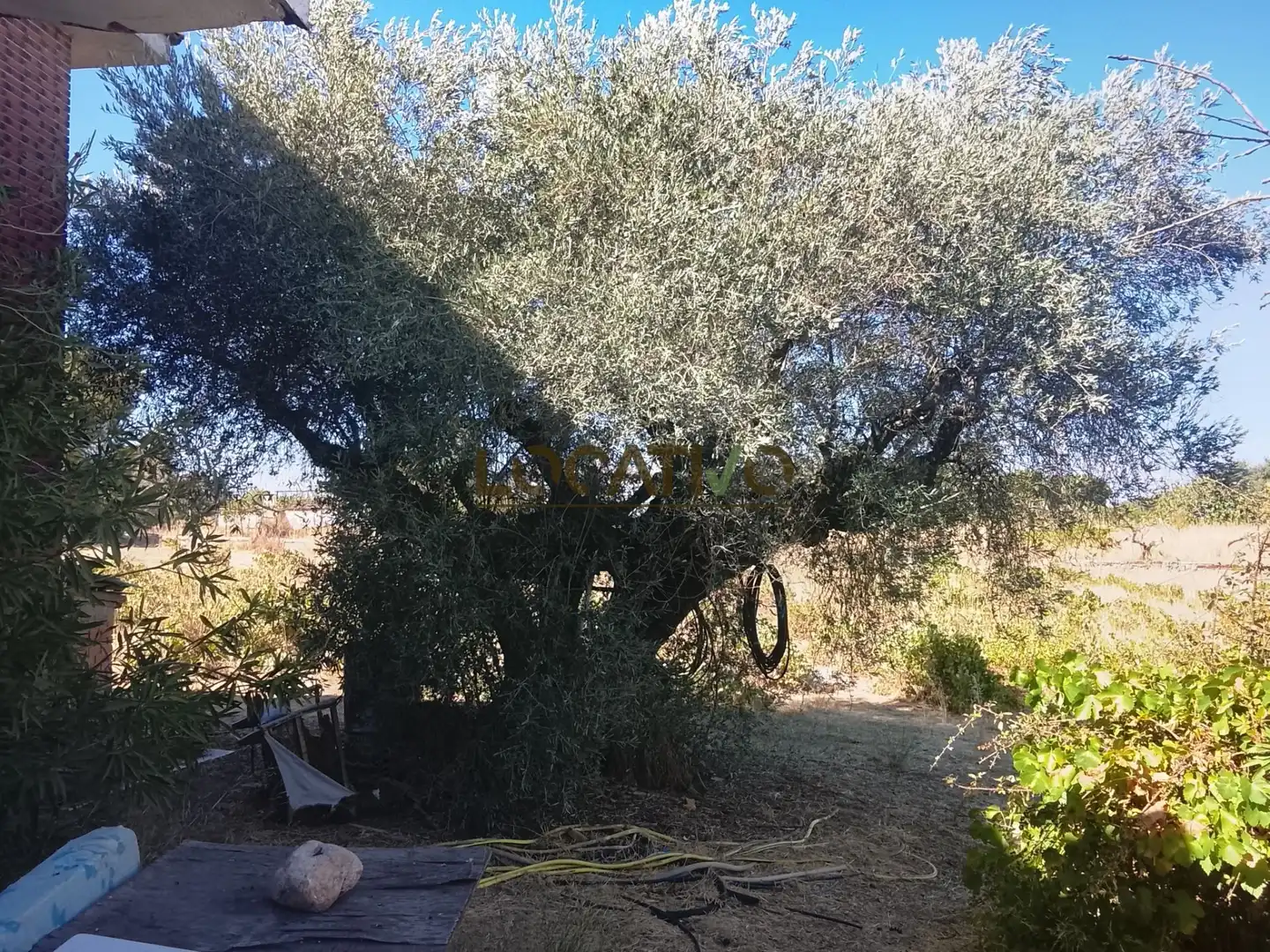 Casa amb piscina en venda a La Dehesa - El Pinar, imagen 39