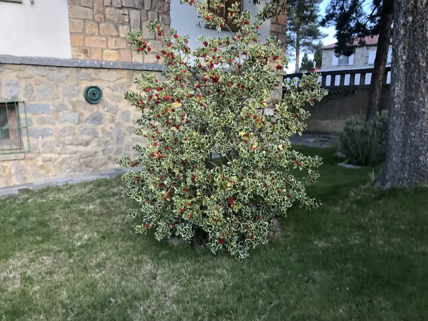 Jardín de Casa o chalet en venta en Otero de Herreros con Calefacción, Jardín privado y Terraza
