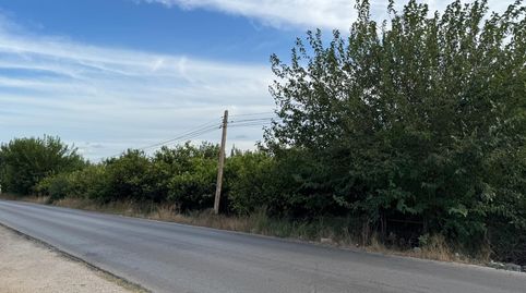 Parcela rústica en Orihuela, immagine 5