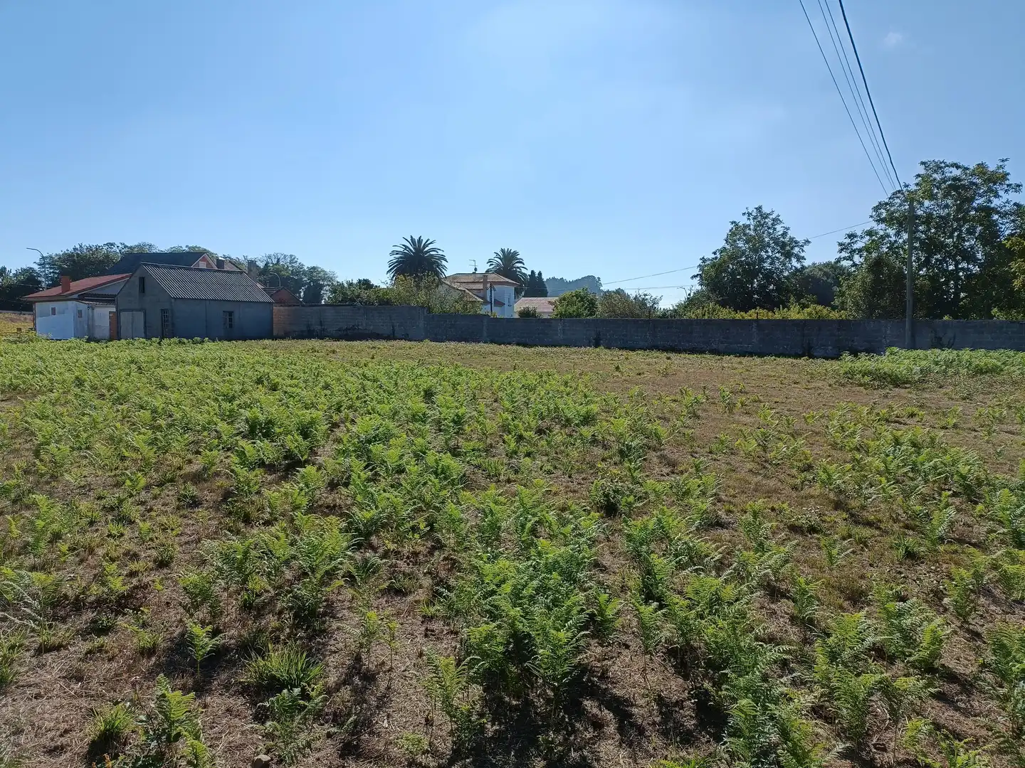 Casa o xalet en venda en Bergondo amb Jardí privat i Traster