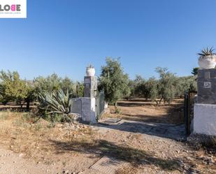 Casa o xalet en venda en Cogollos de la Vega amb Aire condicionat, Terrassa i Piscina