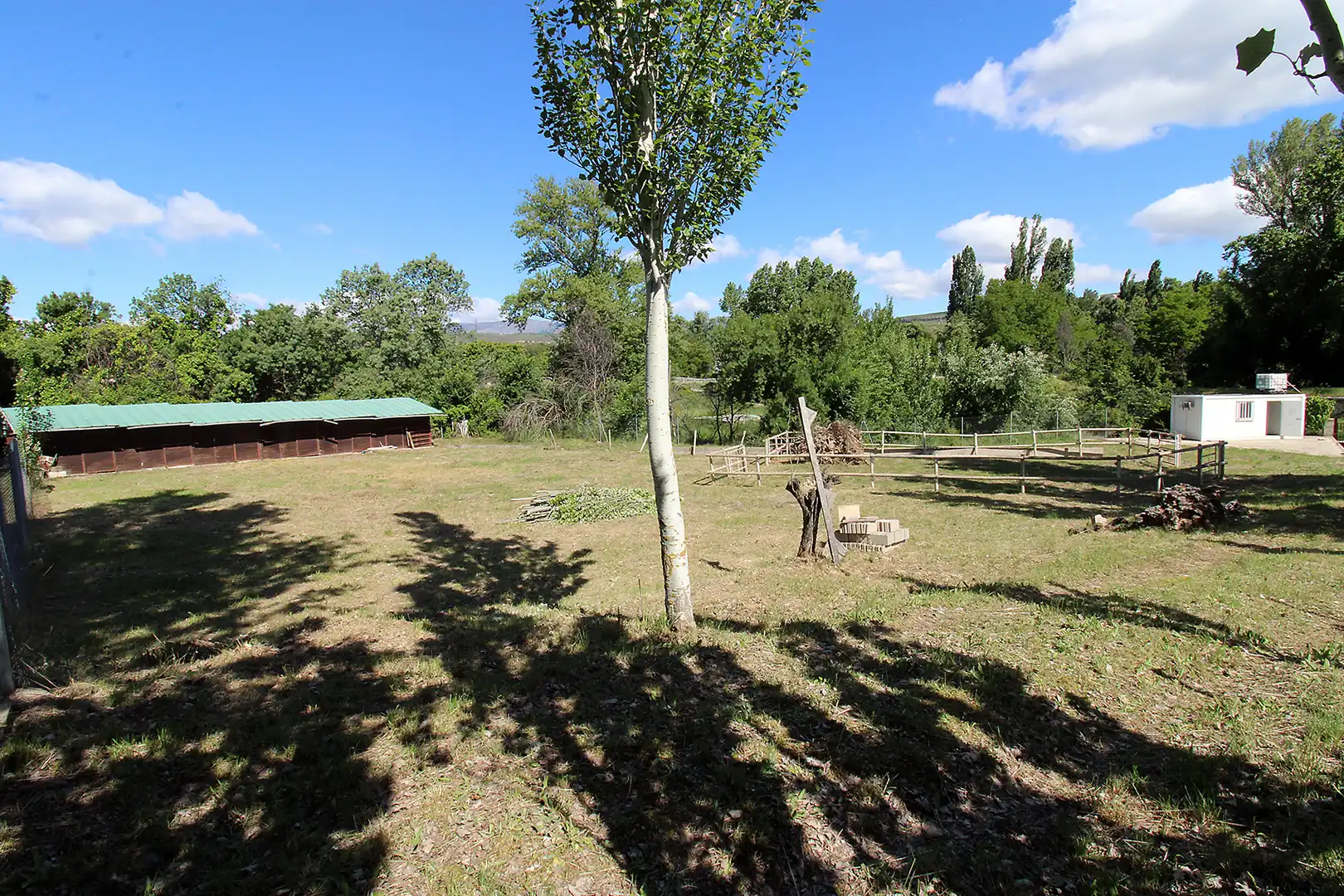 Land for sale in Torrelaguna