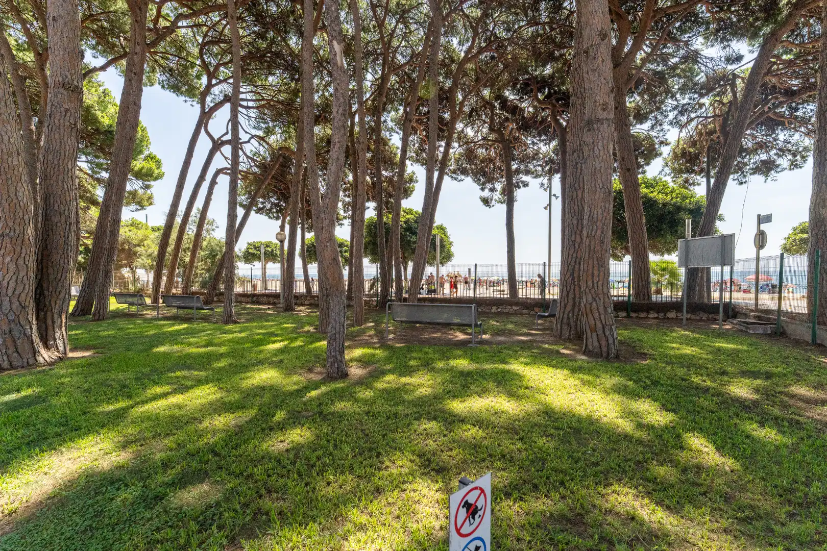 Jardí de Planta baixa en venda en Ardiaca - La Llosa