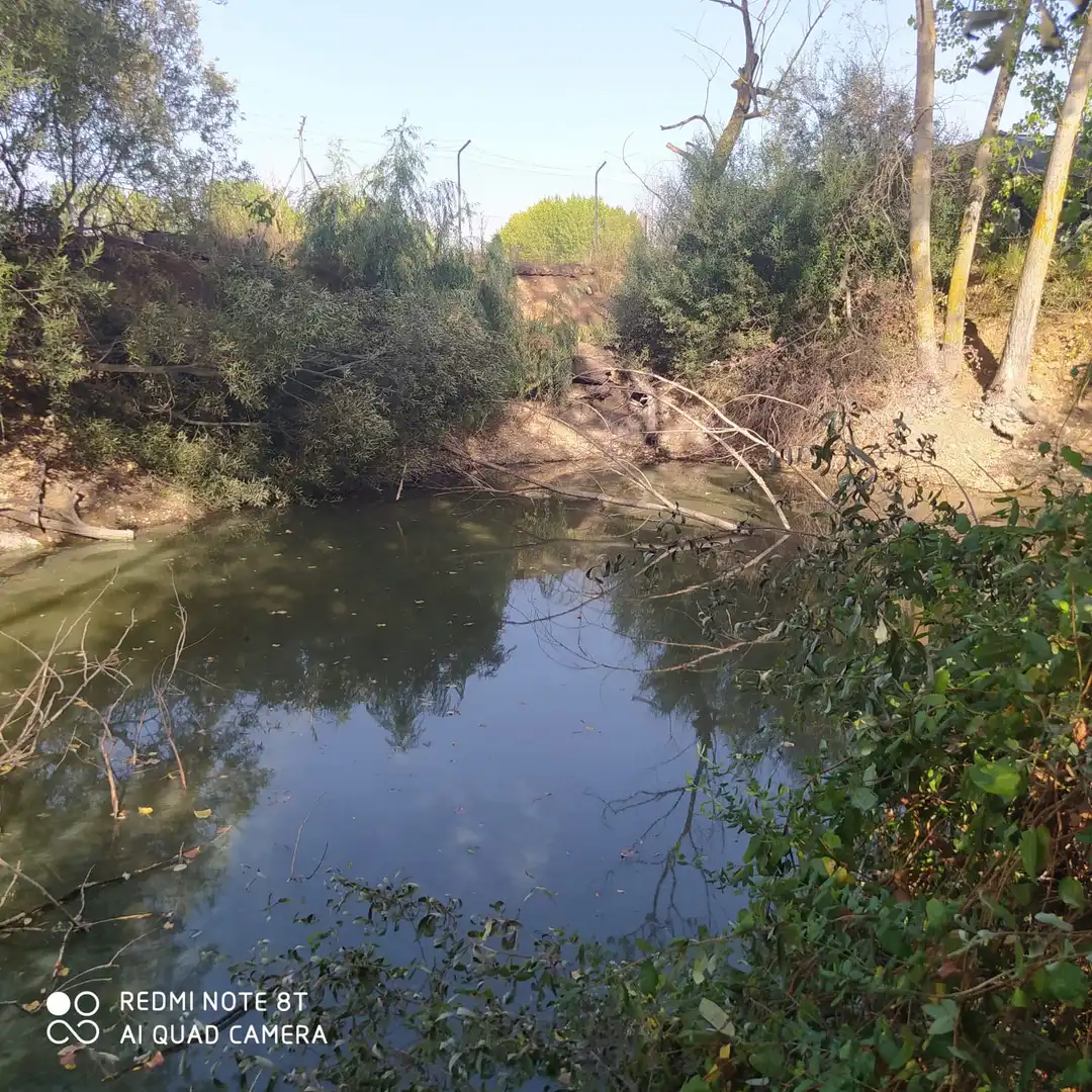Chalet con jardín en venta en Malagón, imagen 30