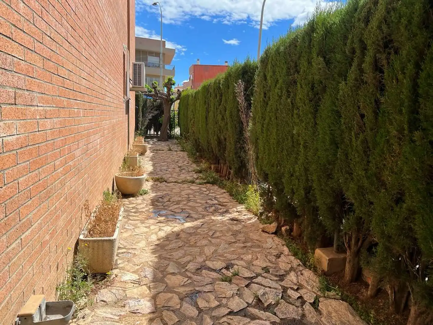 Casa o xalet de lloguer a Poble Nou - Olivar Gran