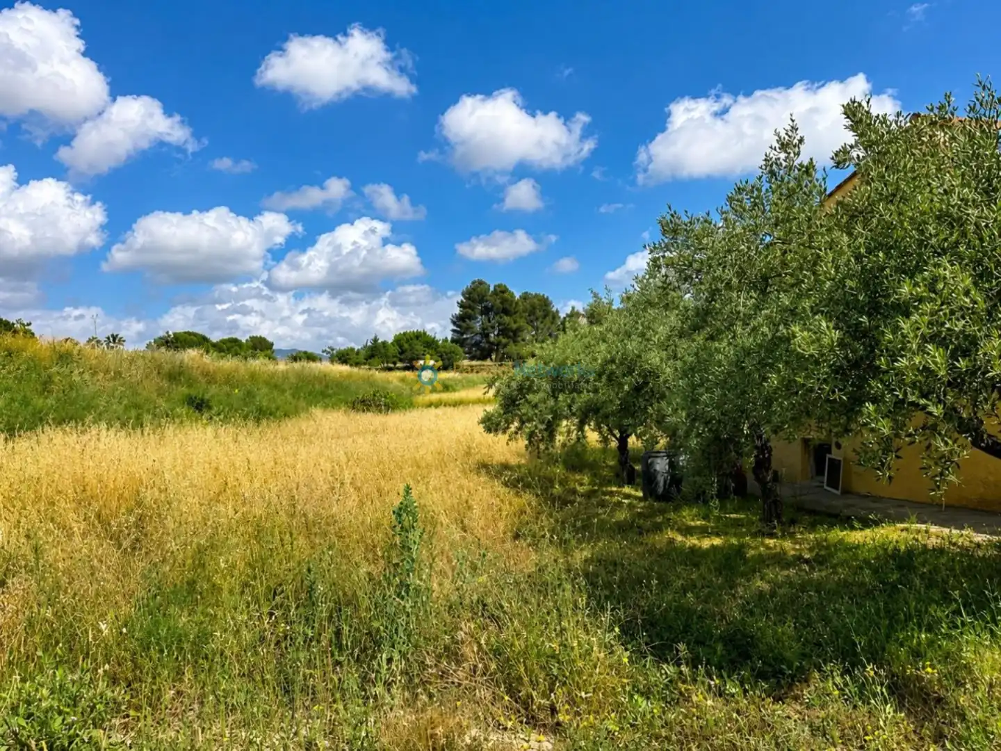 Villa con giardino in vendita a Carrer de l'Alcalde Paco Montes 43, imagen 20