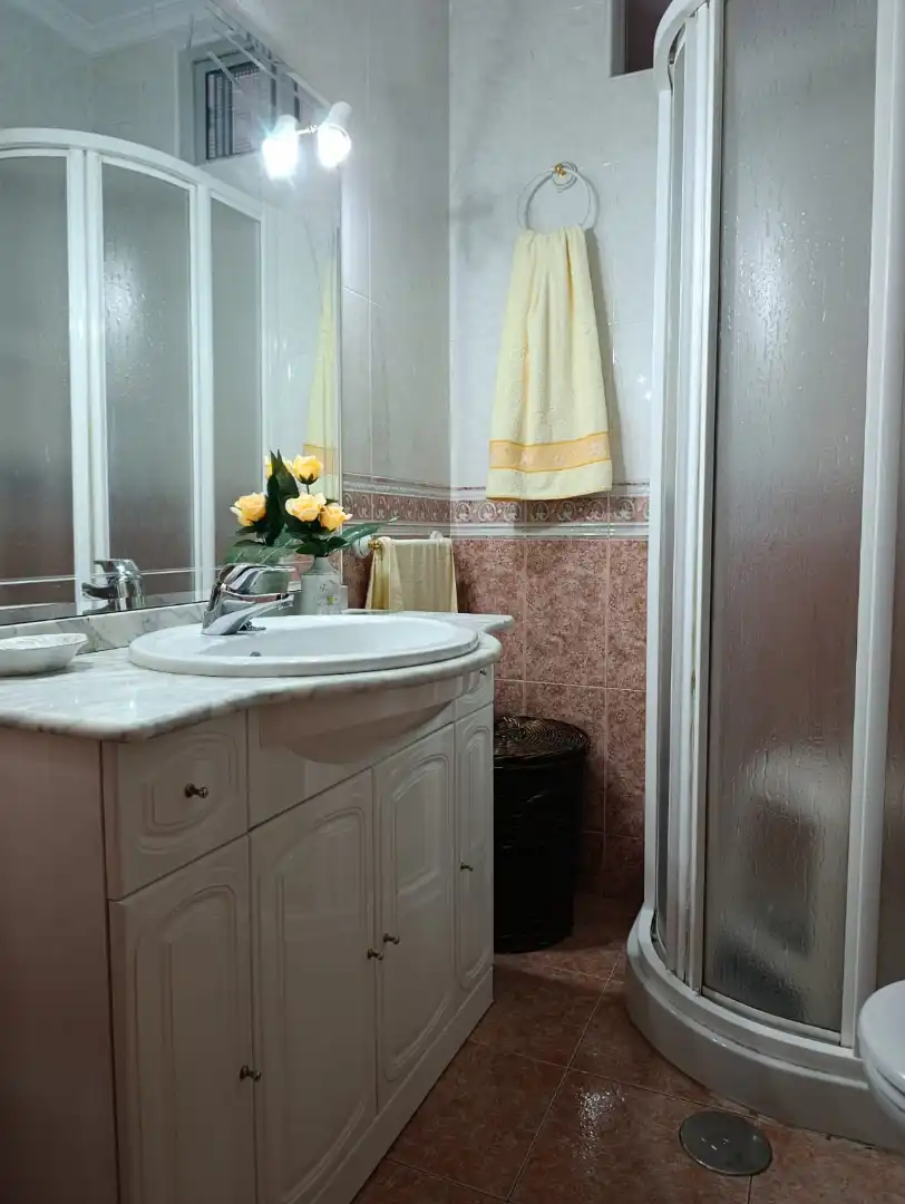 Baño de Piso en venta en Centro - Barriada Mallorca