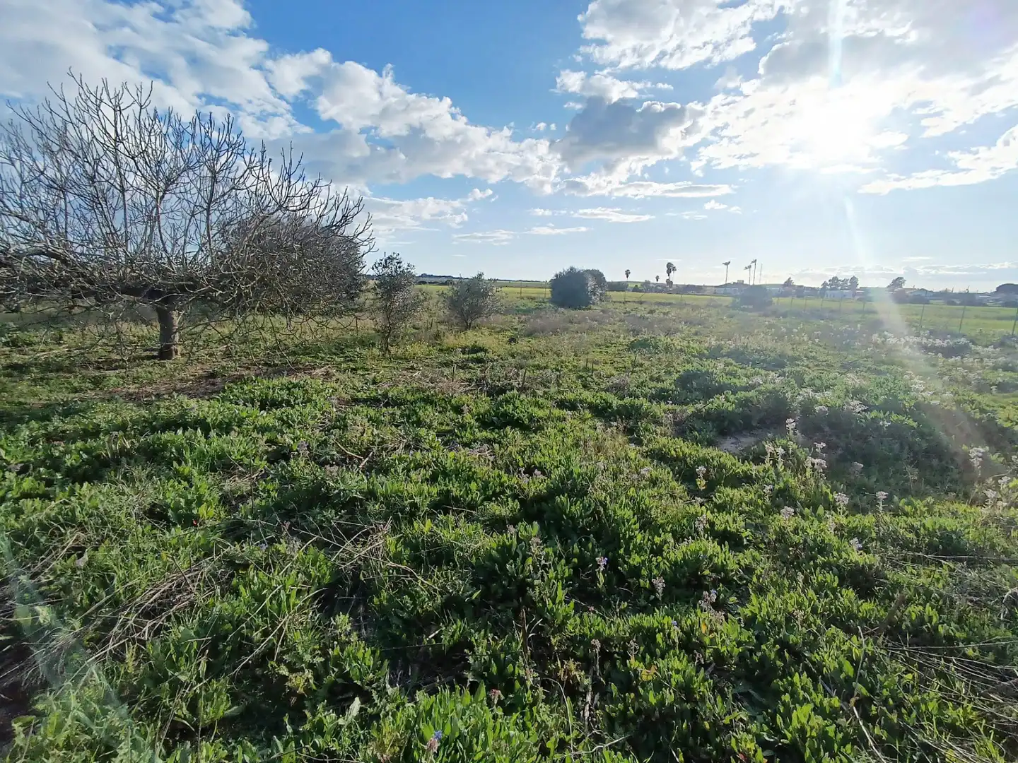 Country homes for sale in El Puerto de Santa María  with Air Conditioner, Private garden and Terrace