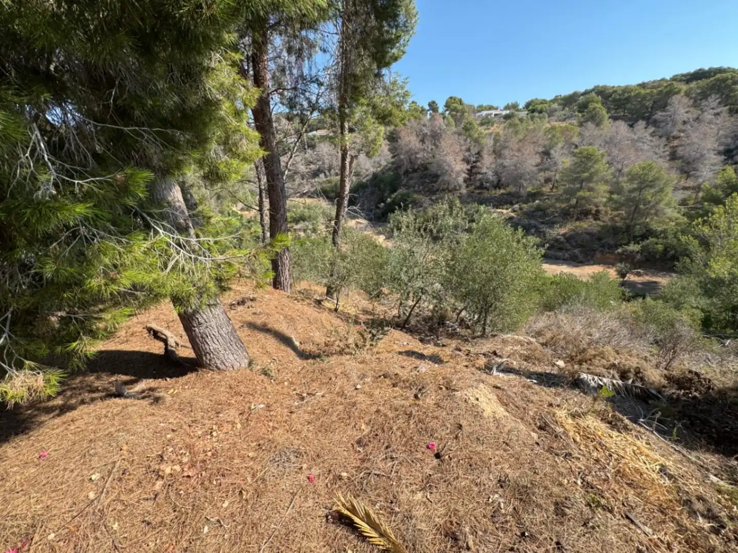 Wohnbaugrundstück zum Verkauf in La Fustera, imagen 8