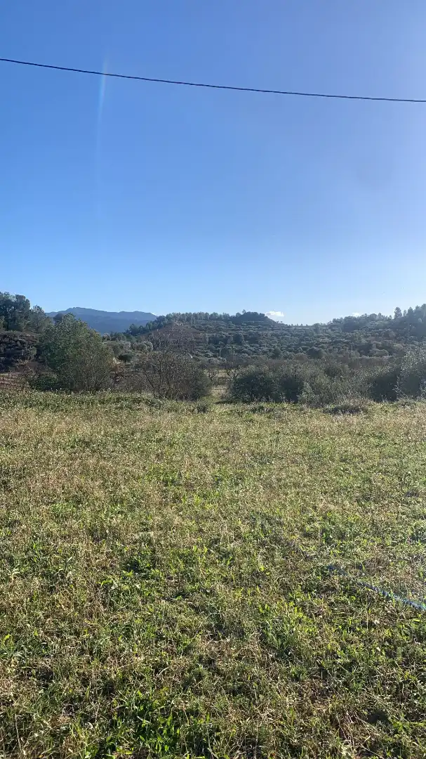 Terreno rustico in vendita a Ascó, imagen 2