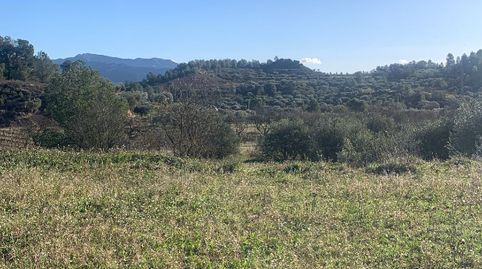 Asco - Parcela de terreno, media hectárea - buen acceso y bonitas vistas, immagine 2
