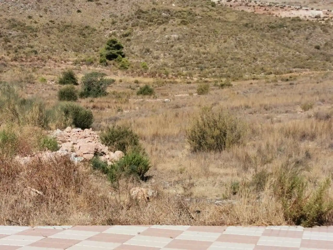 Terreny residencial en venda a Castell de Ferro, imagen 8