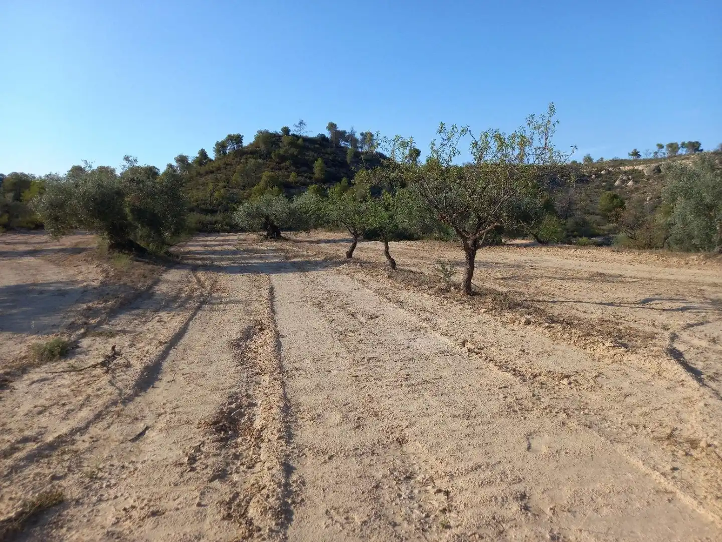 Terreno residencial en venta en Flix, imagen 37