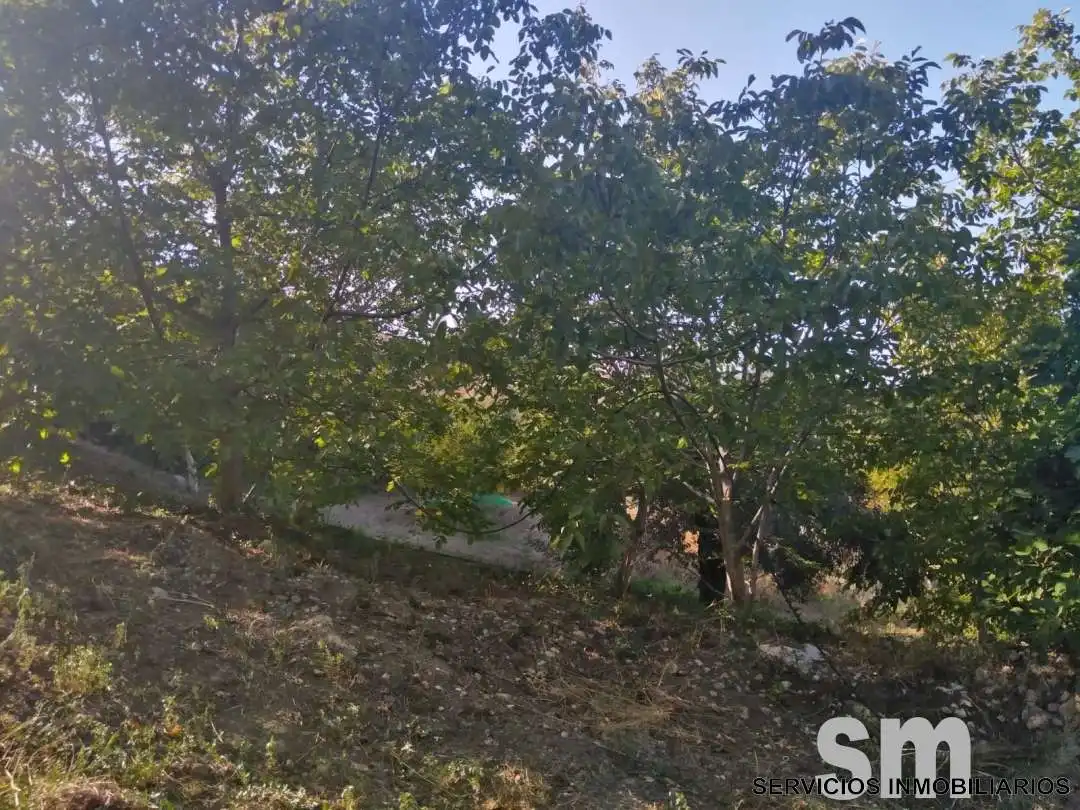Terreno en venta en Zahara
