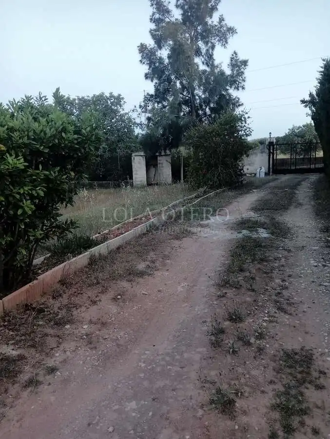Villa à vendre à Centro, imagen 13