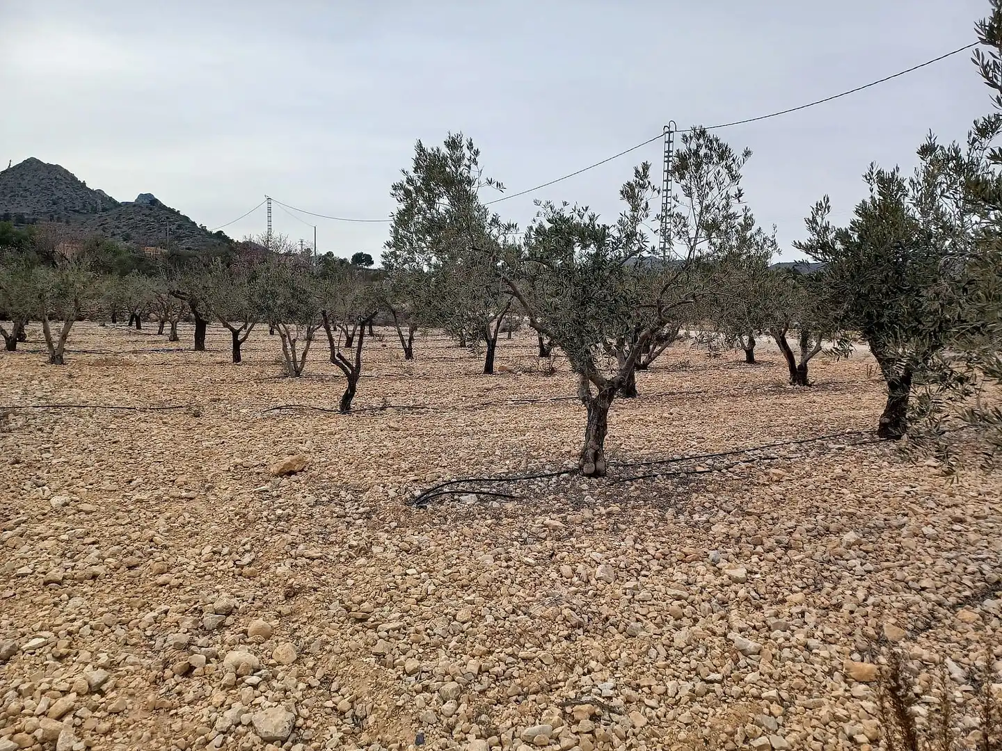 Terreny residencial en venda a La Romana