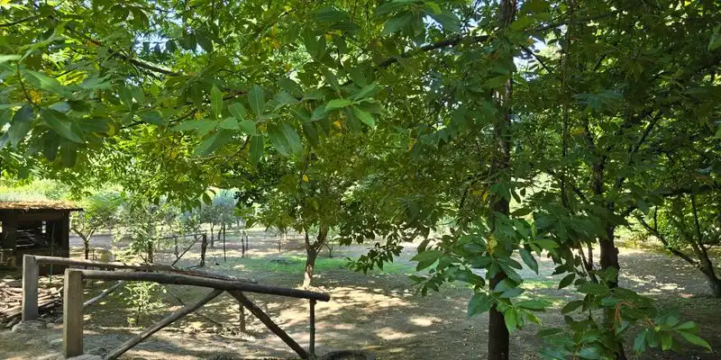 Casa o chalet en venta en Avenida Constitución , Arenas de San Pedro