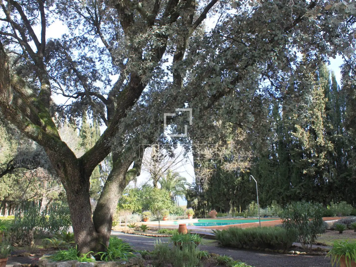 Jardí de Finca rústica en venda en Archidona amb Aire condicionat, Calefacció i Jardí privat