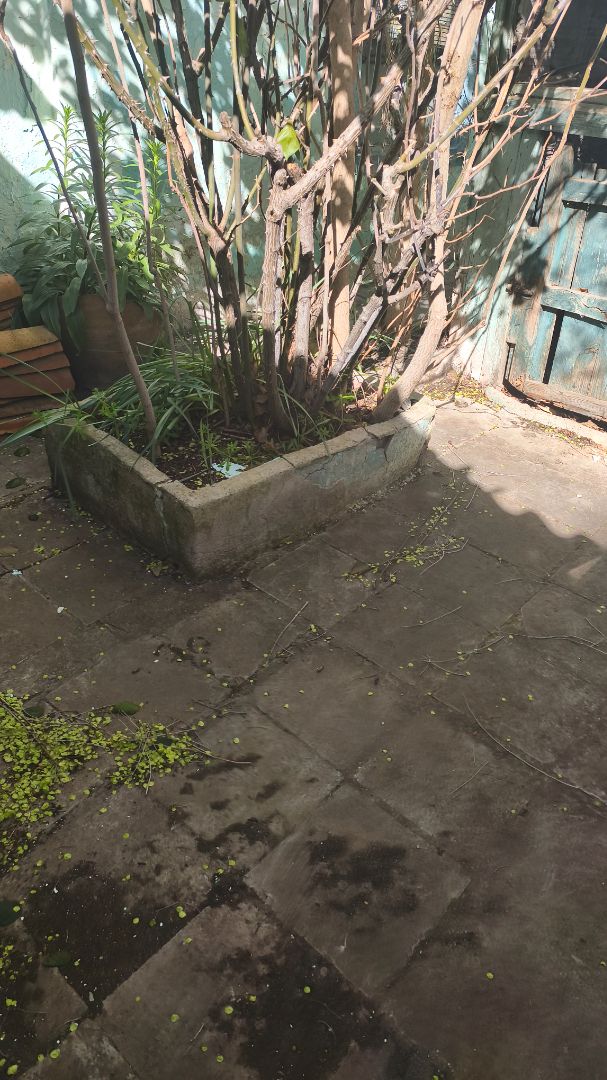 Jardín de Casa adosada en venta en  Zaragoza Capital con Jardín privado y Amueblado