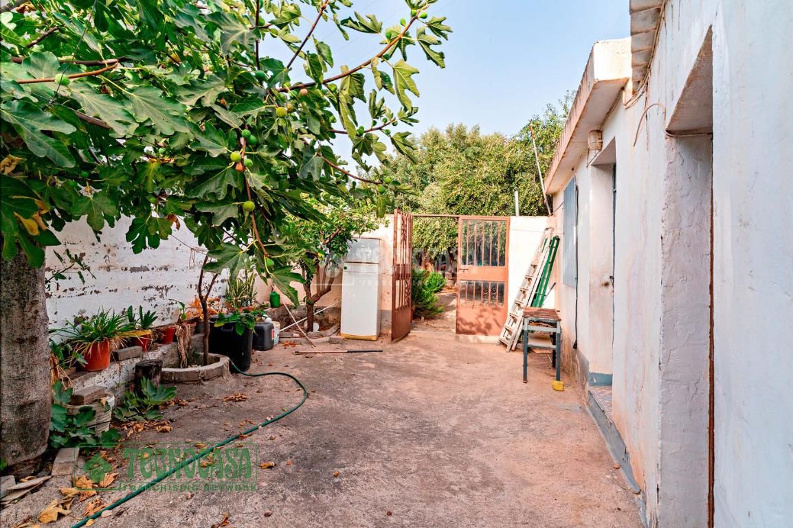 Jardí de Casa adosada en venda en El Ejido