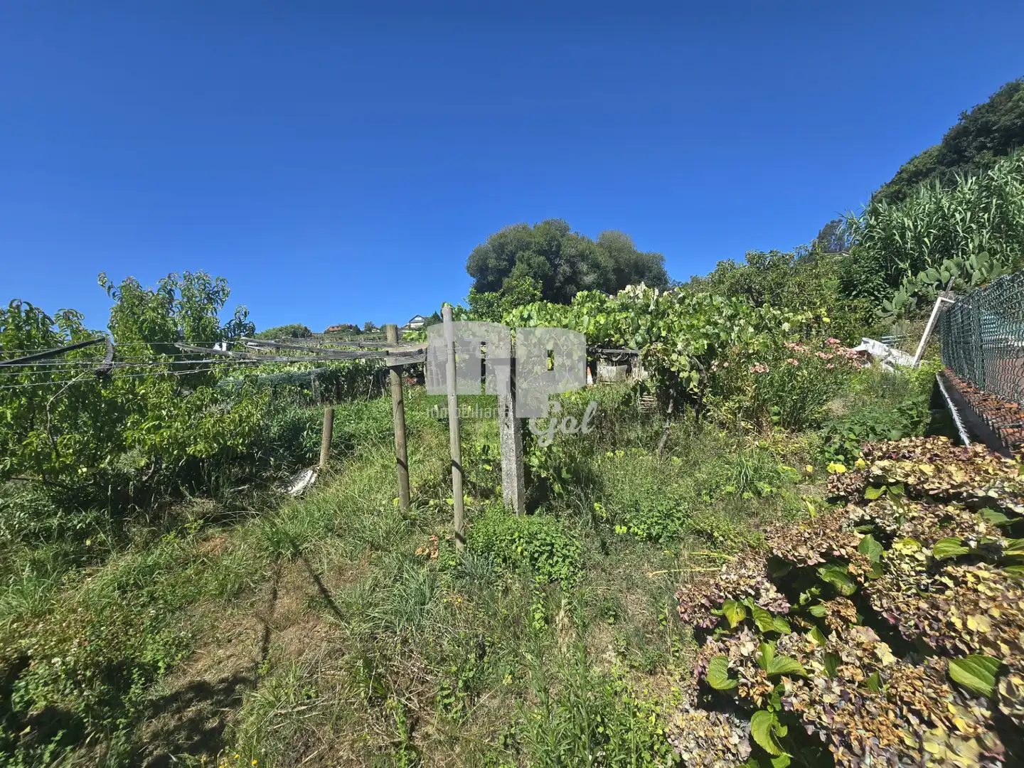 Casa o chalet en venta en Mos con Jardín privado y Terraza