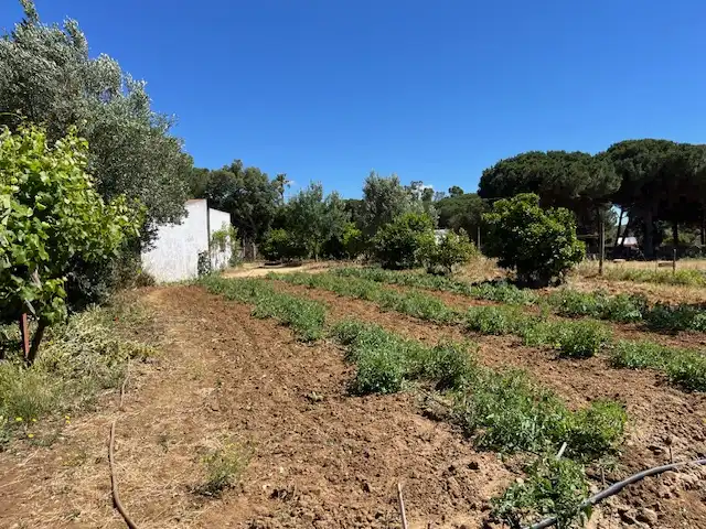 Finca rústica en venta en Vejer de la Frontera