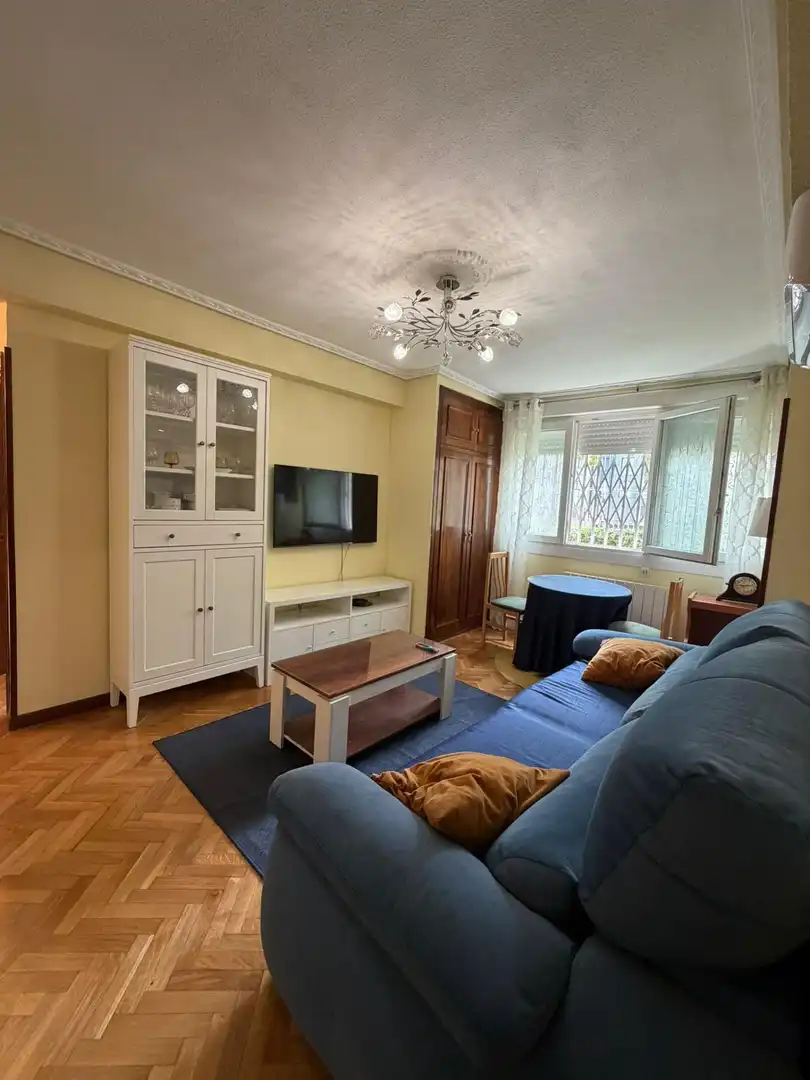 Sala de estar de Piso de alquiler en Madrid con Aire acondicionado, Calefacción y Parquet