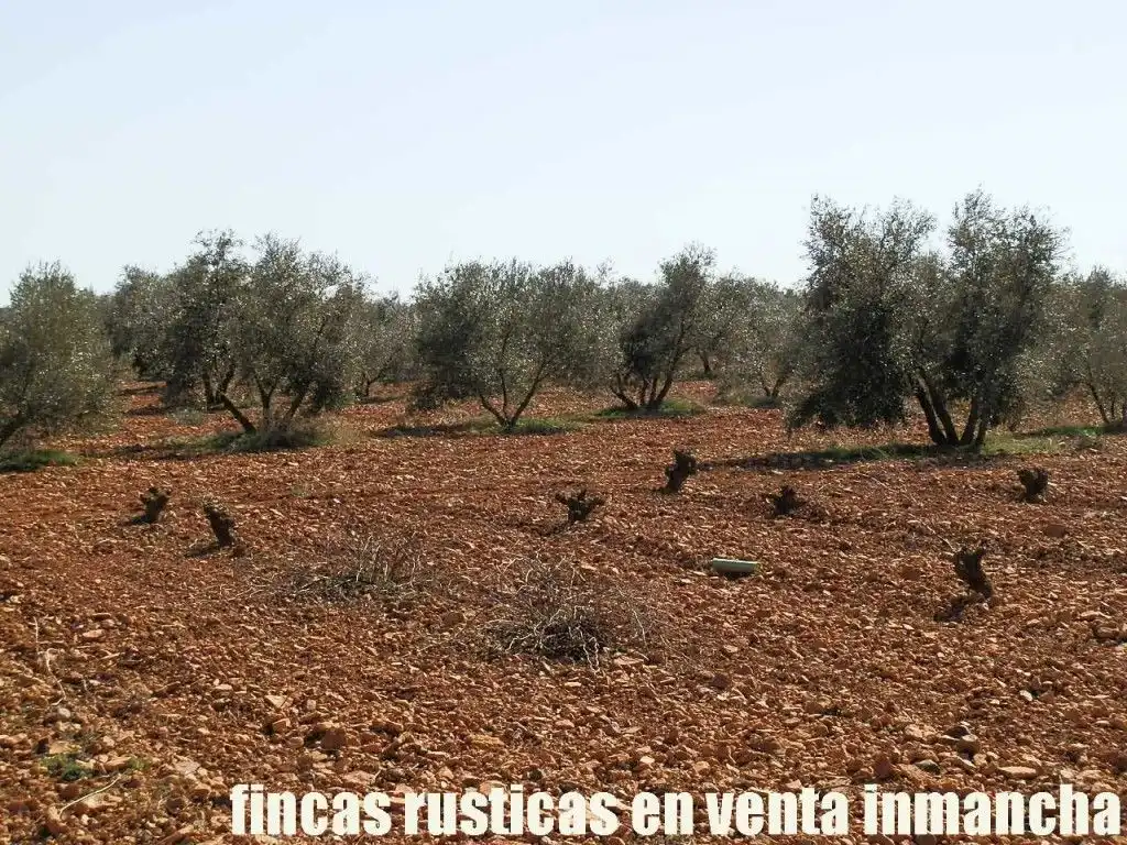 Rural land for sale in Valdepeñas