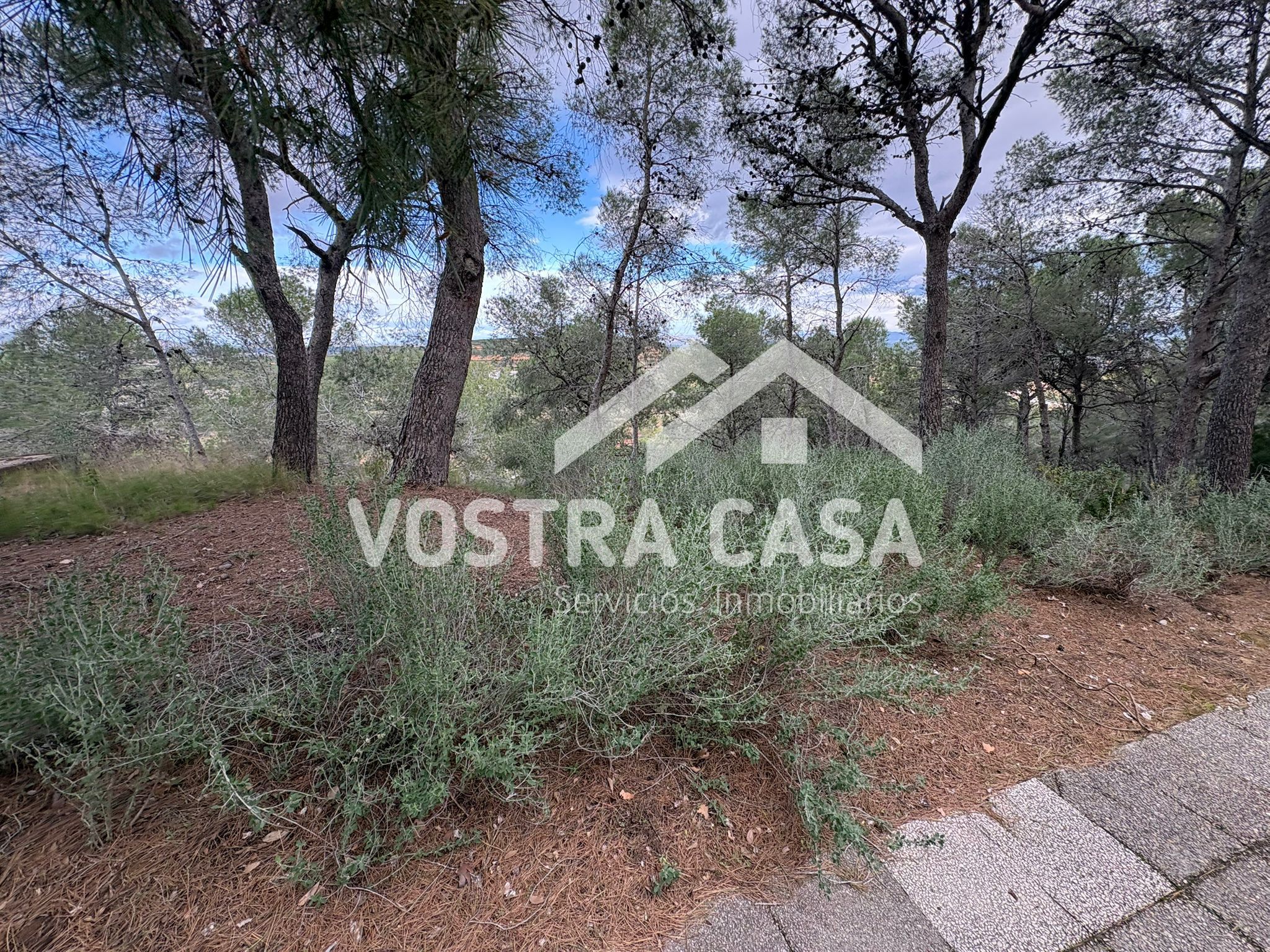 Land for sale in Chiva
